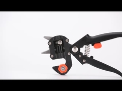 Прививать ножницы