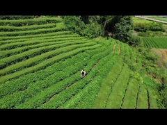 Электрический триммер для живой изгороди